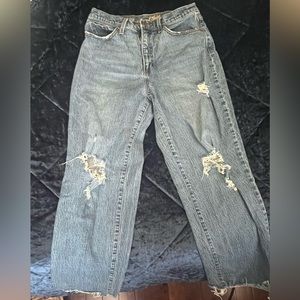 Universal Thread Vintage Straight Jeans